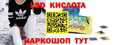 прущие грибы Донецк